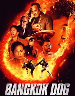 فيلم Bangkok Dog 2024 مترجم